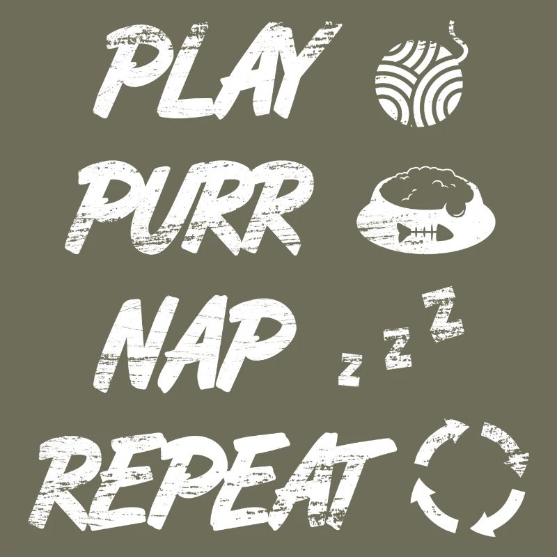 Routine quotidienne du chat