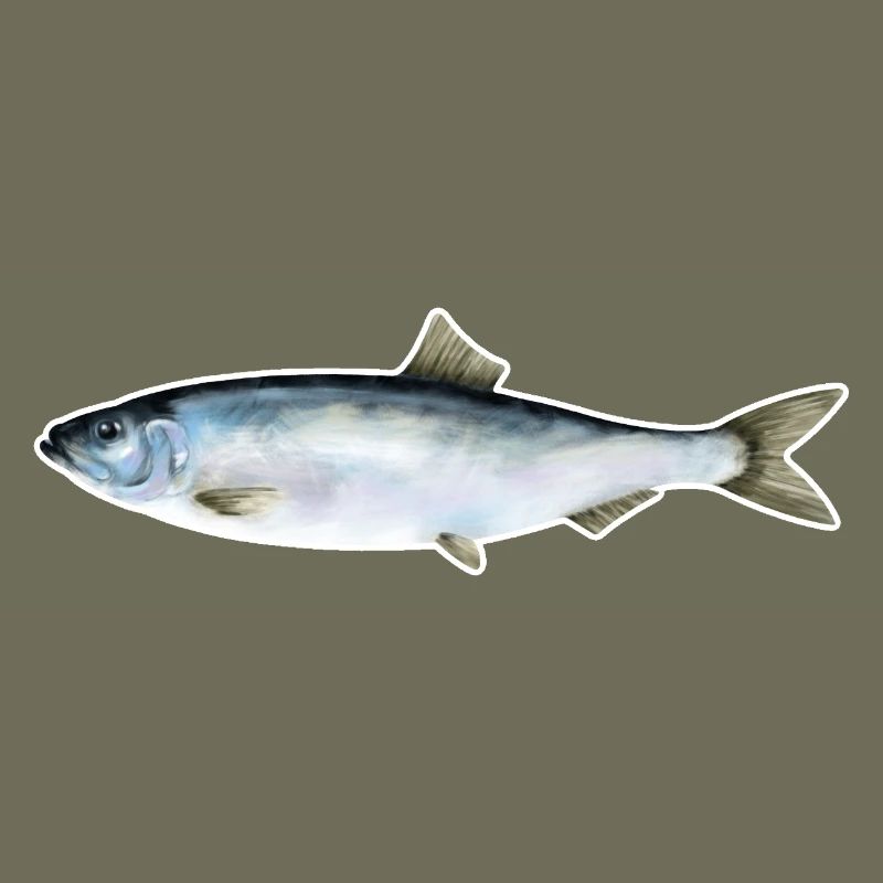 Hering.1