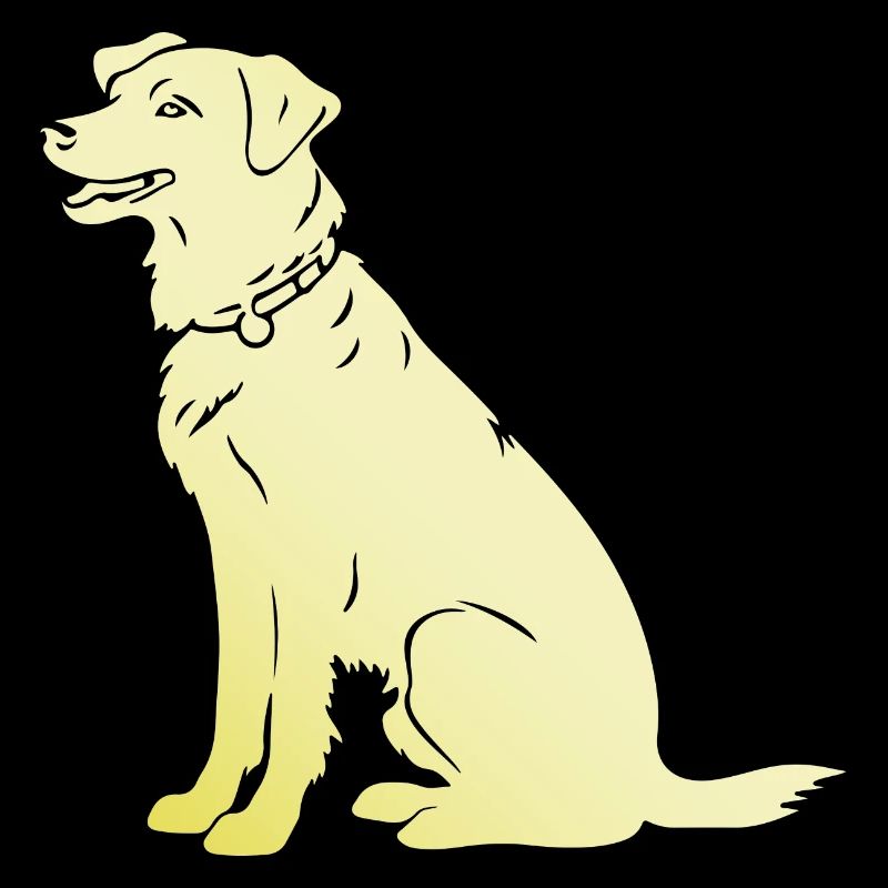 Border Collie Hund Silhouette