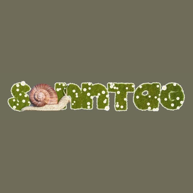 Sunday Snail