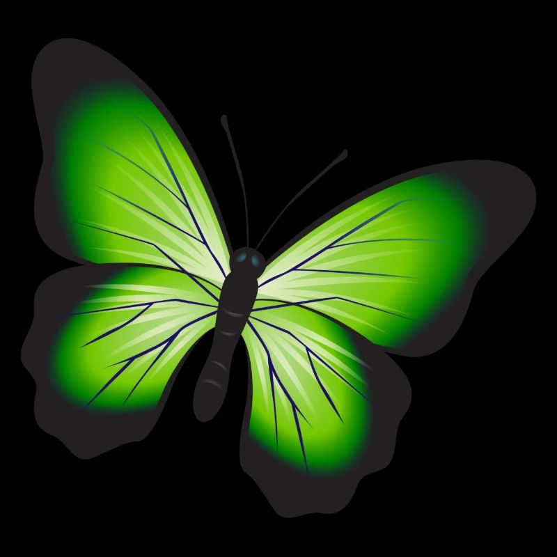 Un beau papillon