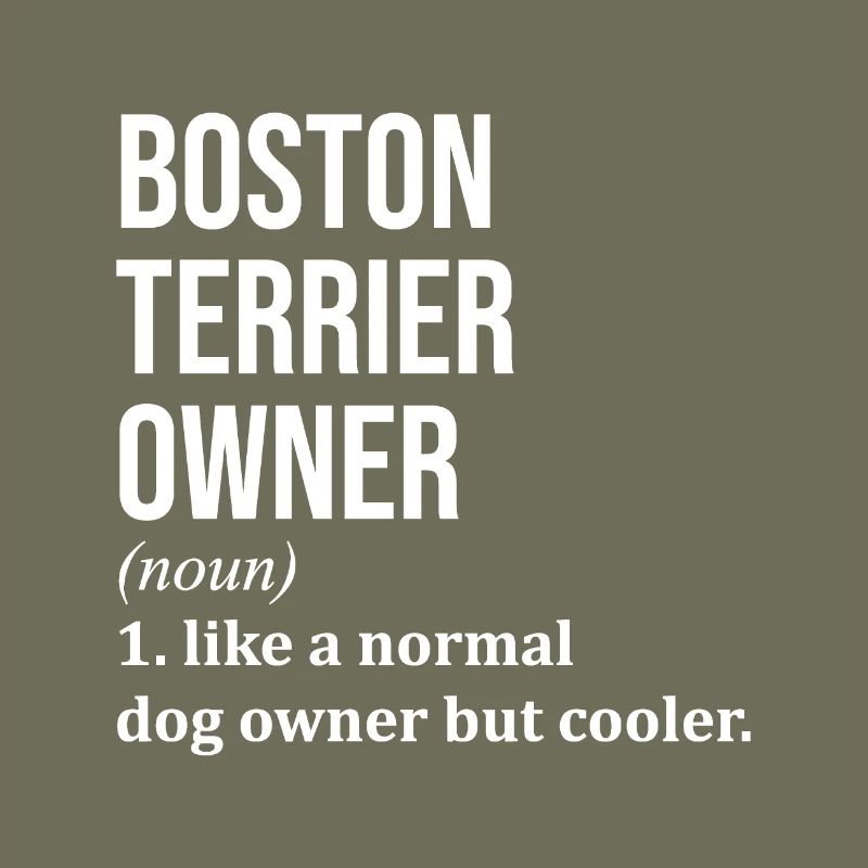 Boston Terrier