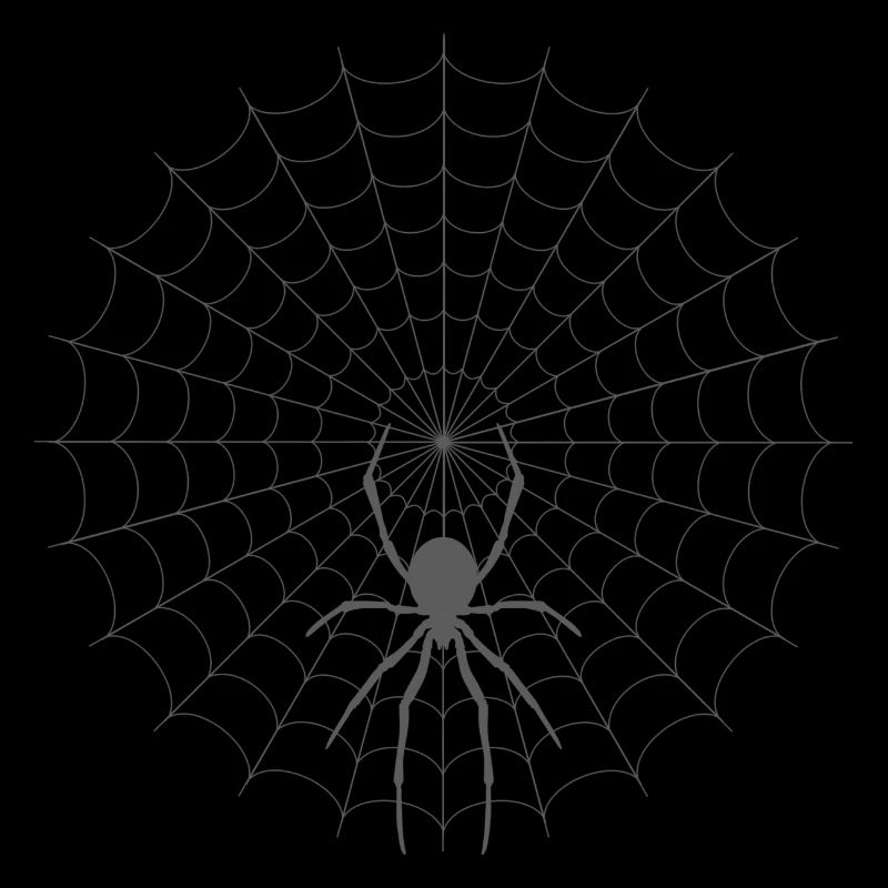 Spider Web Silhouette