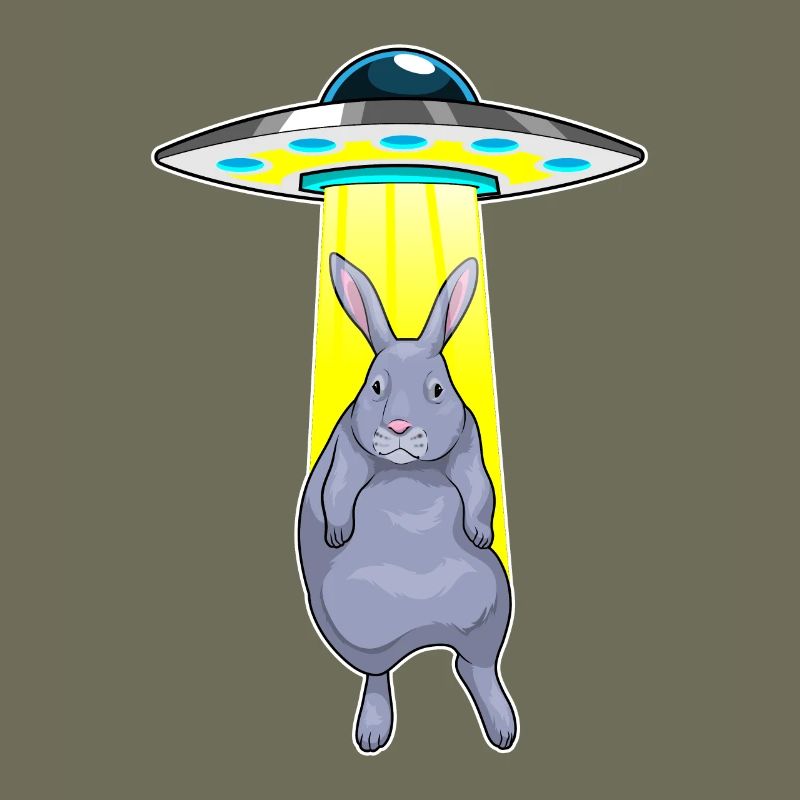 Rabbit Spaceship Space