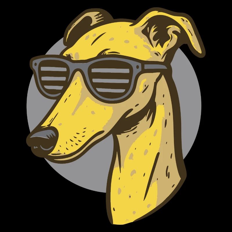 Lévrier, Galgo