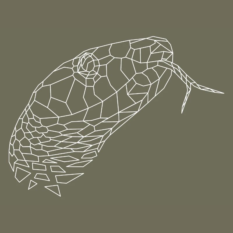 Snake geometric