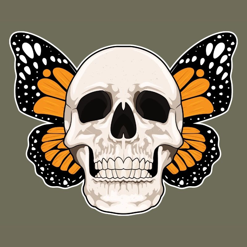 Crâne de papillon