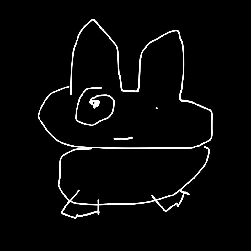 Chinchilla Animal Funny