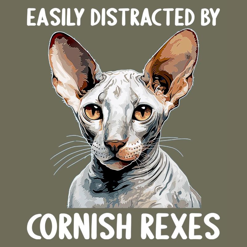 Cornish Rex Facilement distrait par les Cornish Rex