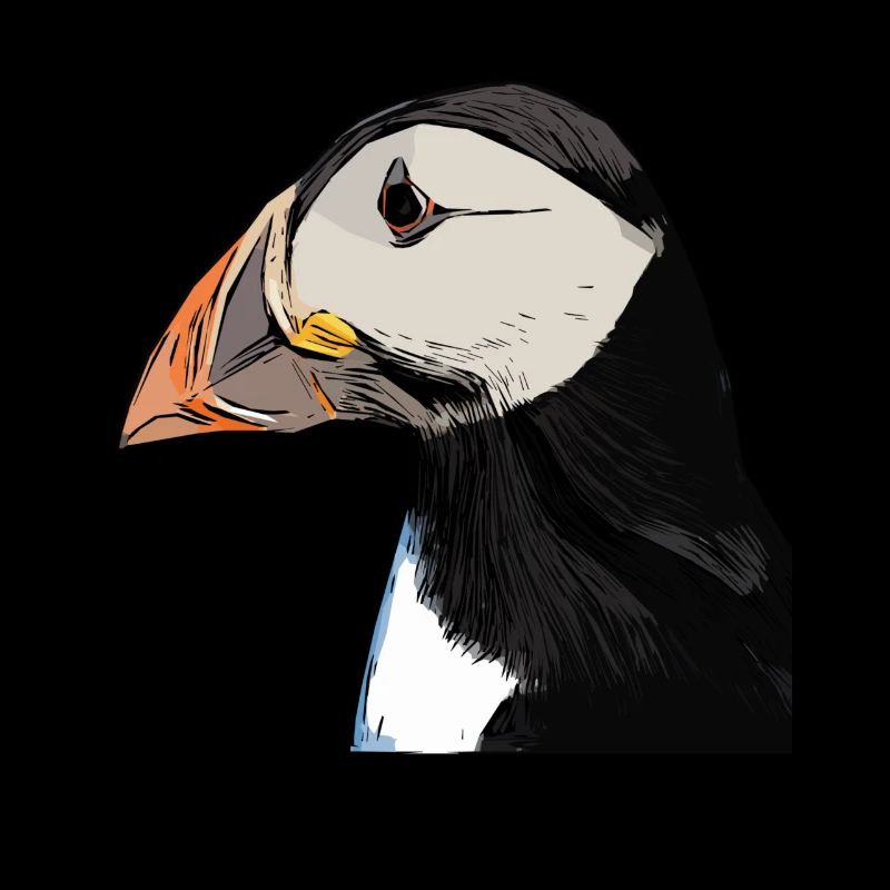 Papageientaucher - Lunde - Puffin
