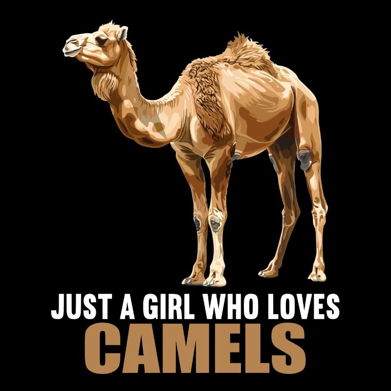 Chameau Kamele Kamel