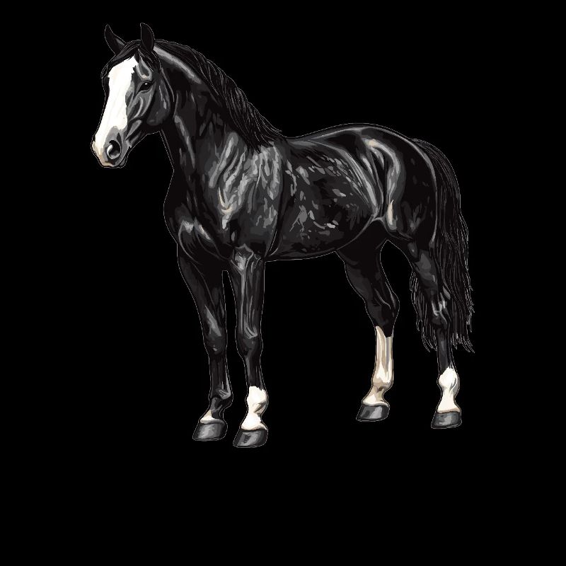 Chevaux Cheval