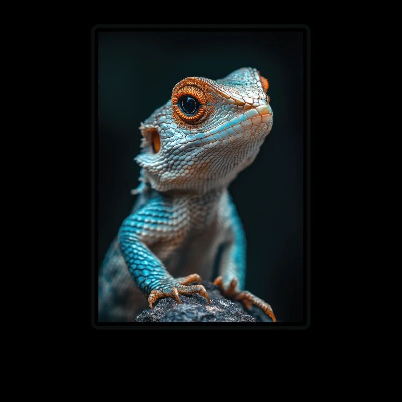 Lizards Lizard