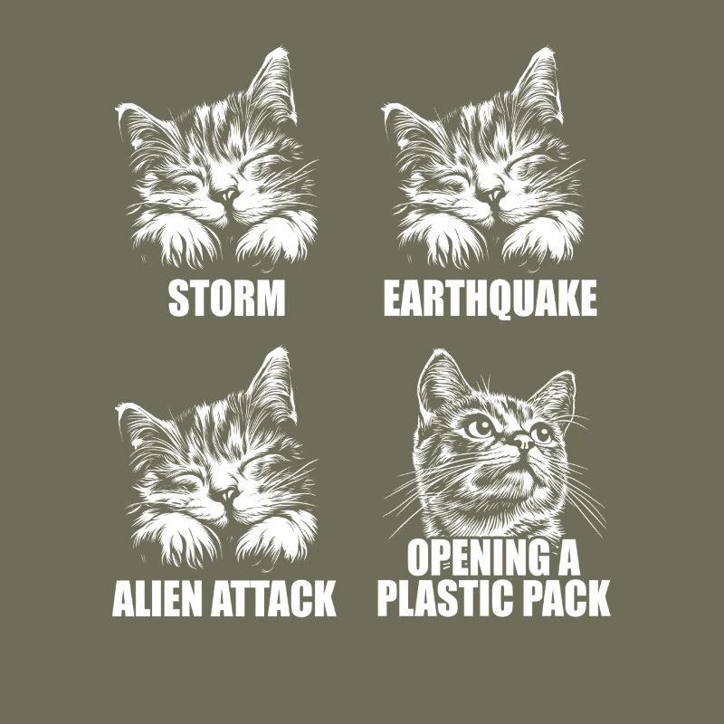 Cat - selective perception - saying