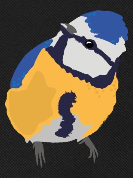 Blaumeise blue tit