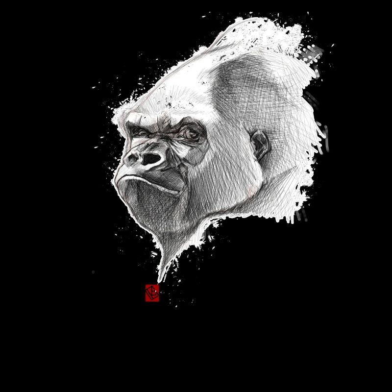 Sketchy Gorilla