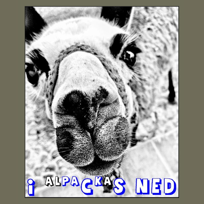 ALPACA, i packs ned, I don't pack that, puns