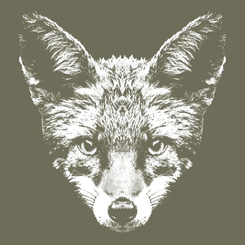 Fuchs / Fox / Kopf / Rotfuchs