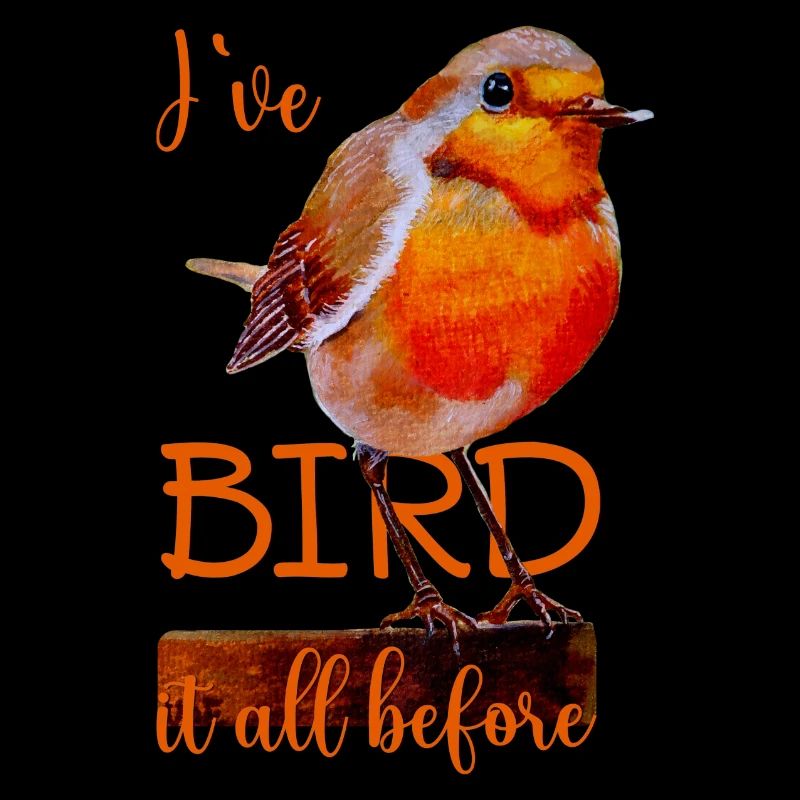 Rotkehlchen süßer Vogel Bird it all before