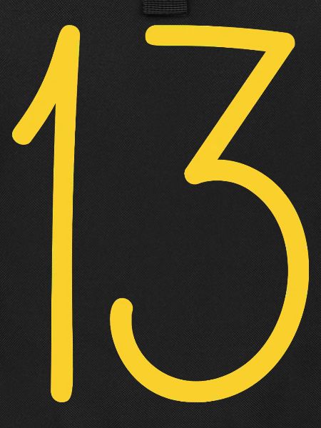 13
