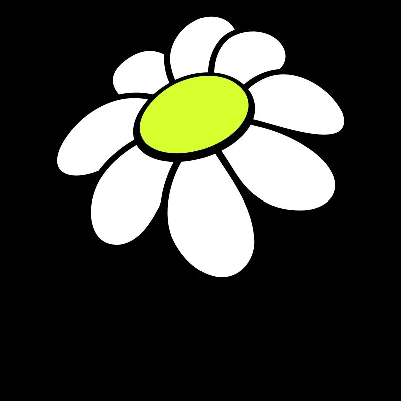 Small Marguerite Flower White Decorative Beautiful Nature