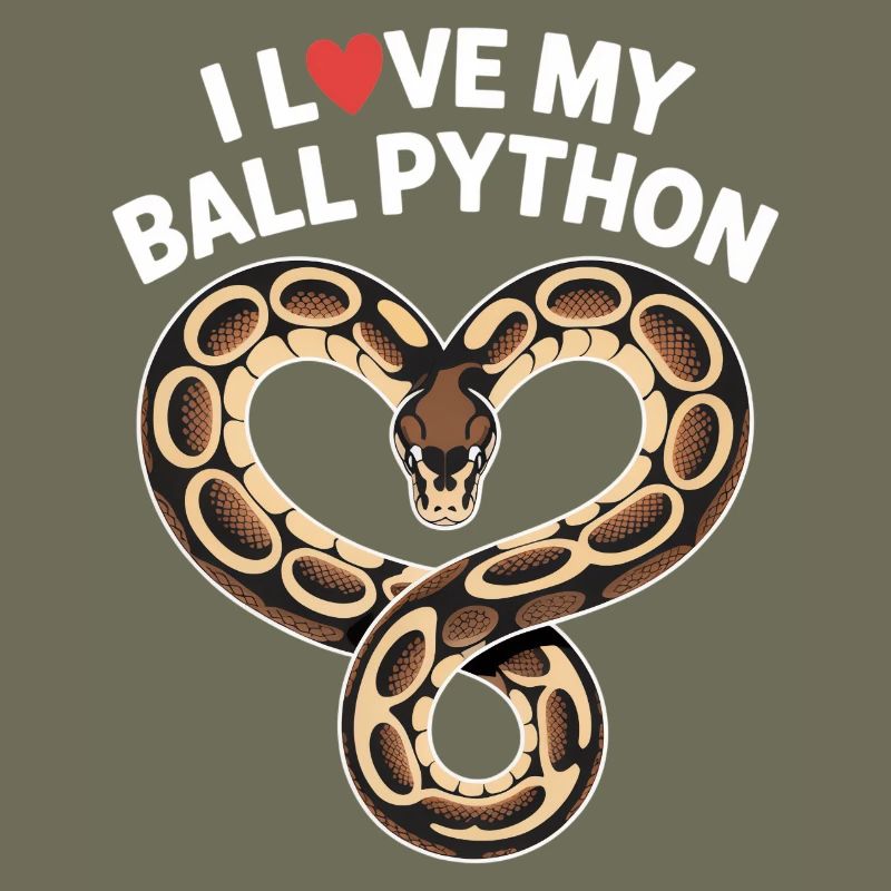 J’adore mon python royal ! Roi python