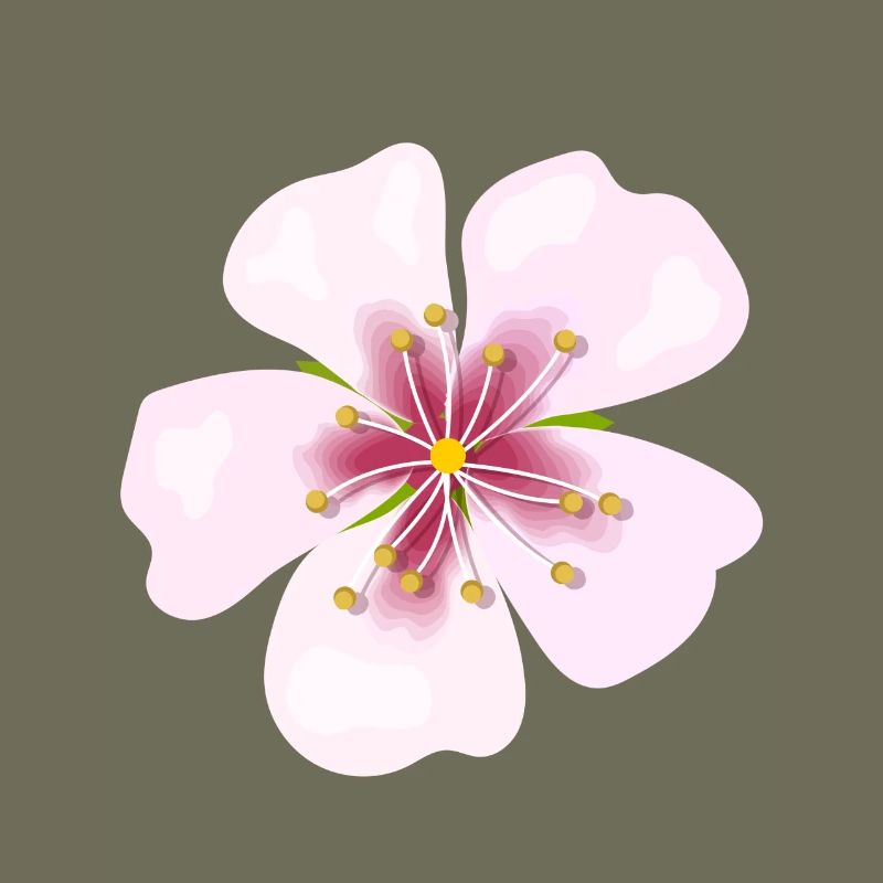 blossom
