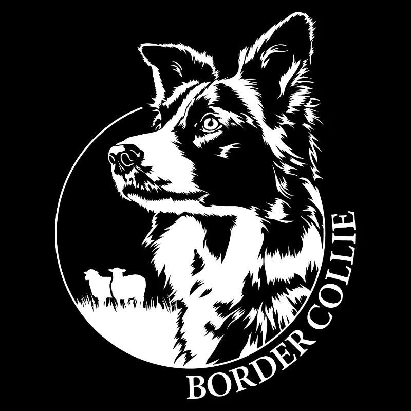 Working Border Collie Portrait Hund Hunde Wilsigns