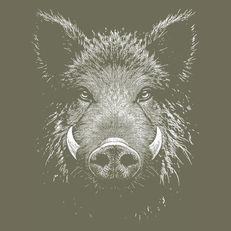 Wild boar