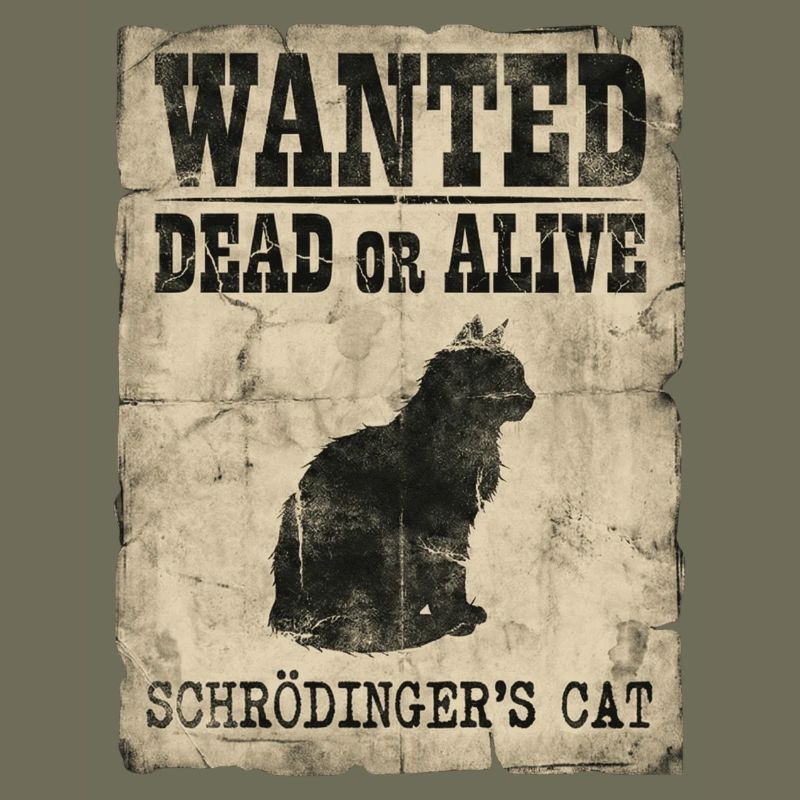 Schrödingers Katze gesucht Tot-oder-lebendig Physik-Wortspiel