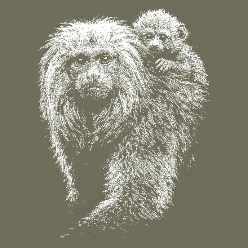 Löwenäffchen