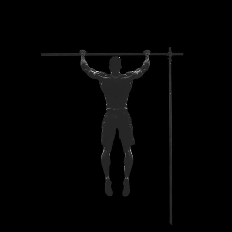 Training & Muscle Building: Chic Gift