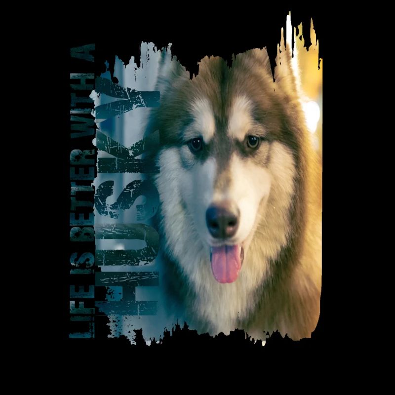 Siberian Husky