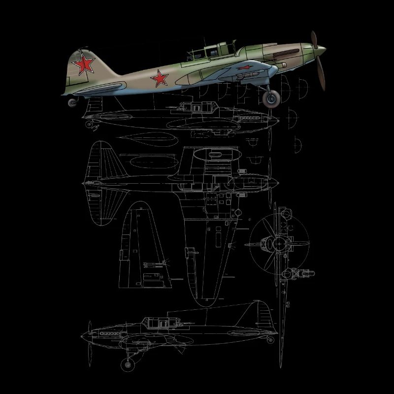 IL-2