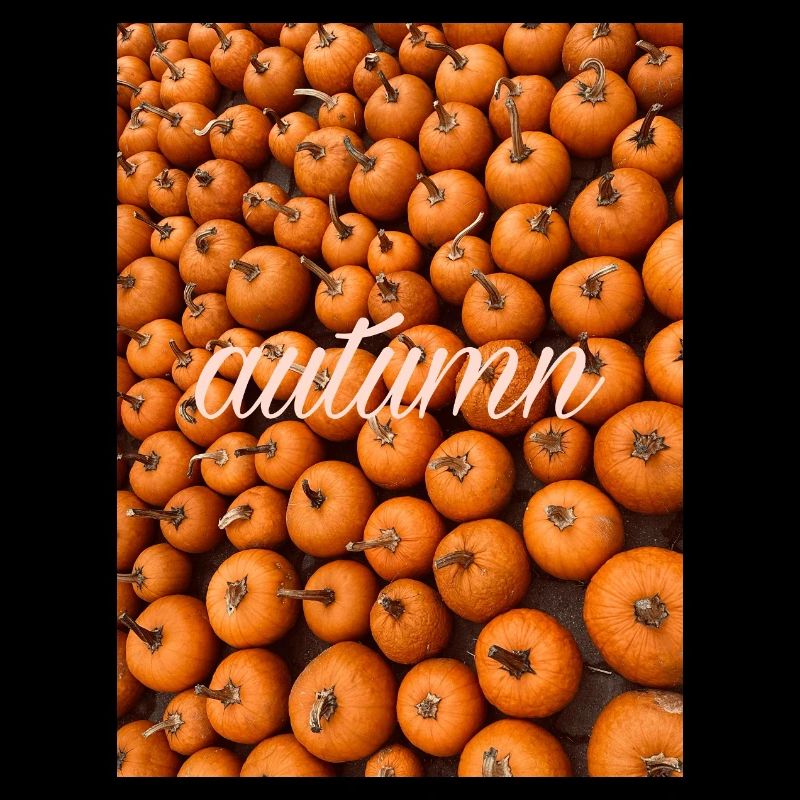 Herbst Autumn pumpkin