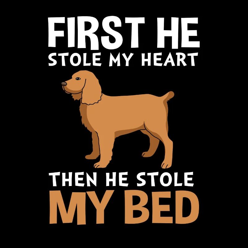 Boykin Spaniel