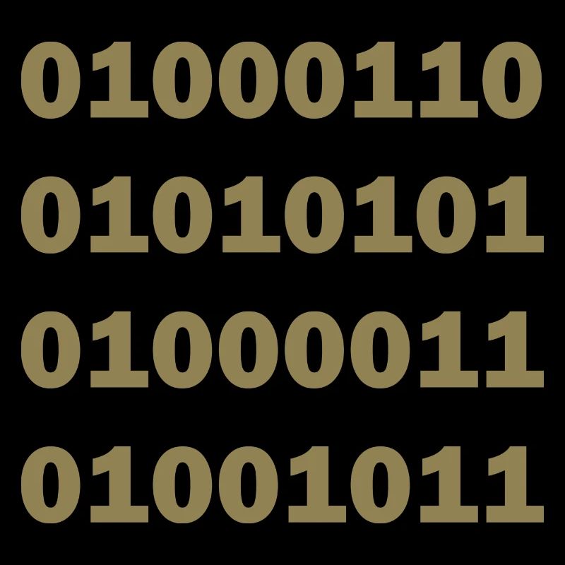 Binär Code Fuck