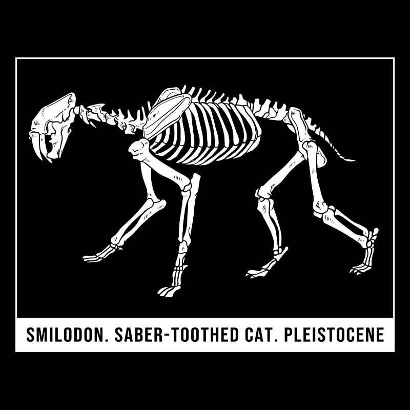 Tigre à dents de sabre Préhistorique