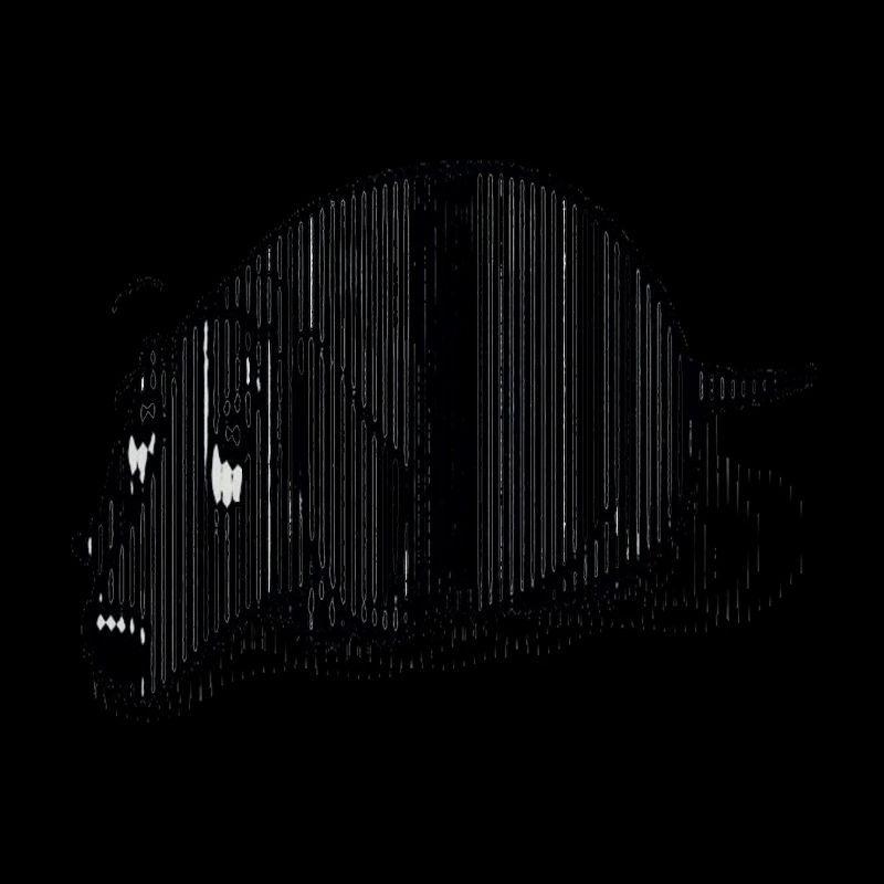 Teckel noir