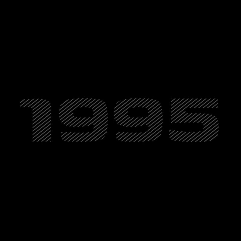 Born 1995 Retro Stripe Modern Birthday Design