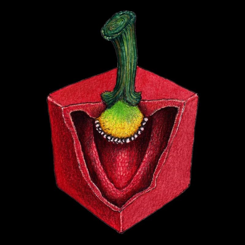 cube cube Paprika légumes coupés en dés