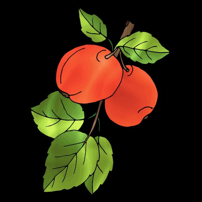 Apples