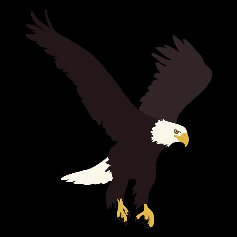 Weisskopfseeadler