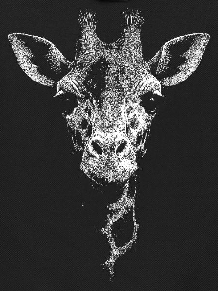 Girafe