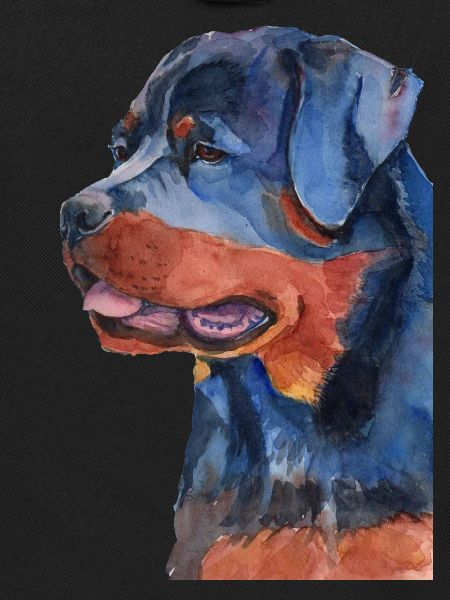 rottweiler - F