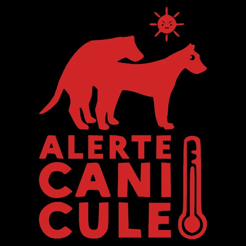 ALERTE CANICULE ! 