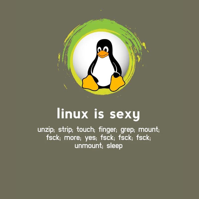 Computer System Pinguin Nerd pc inside code admin