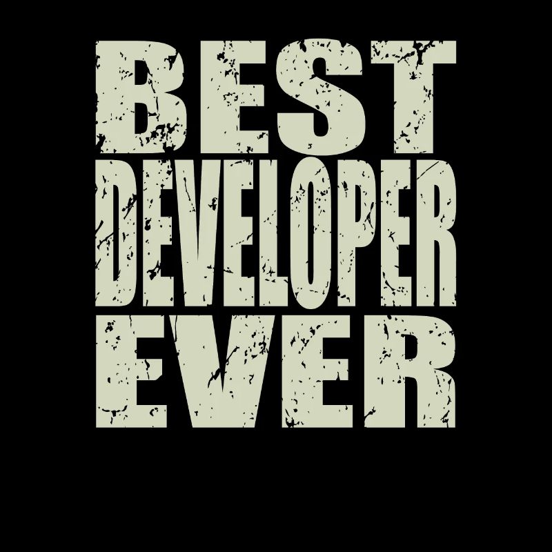 Best Developer ever Developer Gift