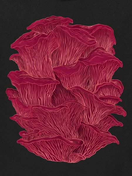 Mystic Mushrooms