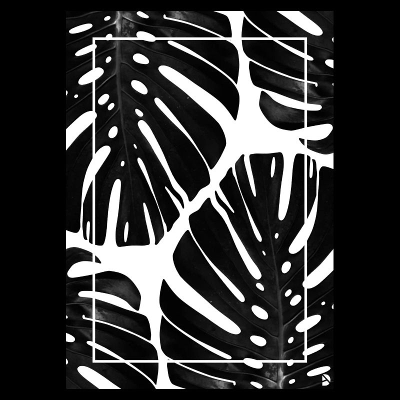 Monstera